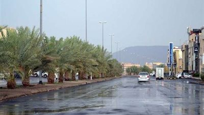 طقس الإمارات اليوم.. أمطار رعدية والعظمى 34
