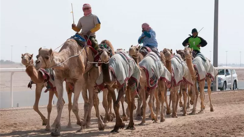 جاسم الكواري ينضم لنادي الريان لرياضة الهجن