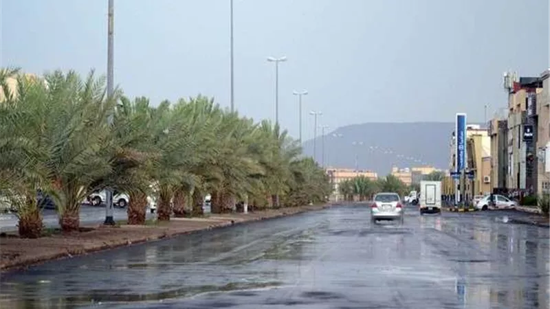 طقس الإمارات اليوم.. أمطار رعدية والعظمى 34