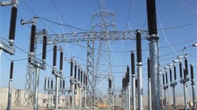 تصديري الحاصلات الزراعية: نسعى لفتح أسواق جديدة بدول آسيا وأفريقيا
