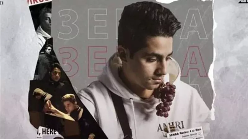 ممنوع الكاميرات.. شروط حفل عنبة بـ مسرح الزمالك اليوم