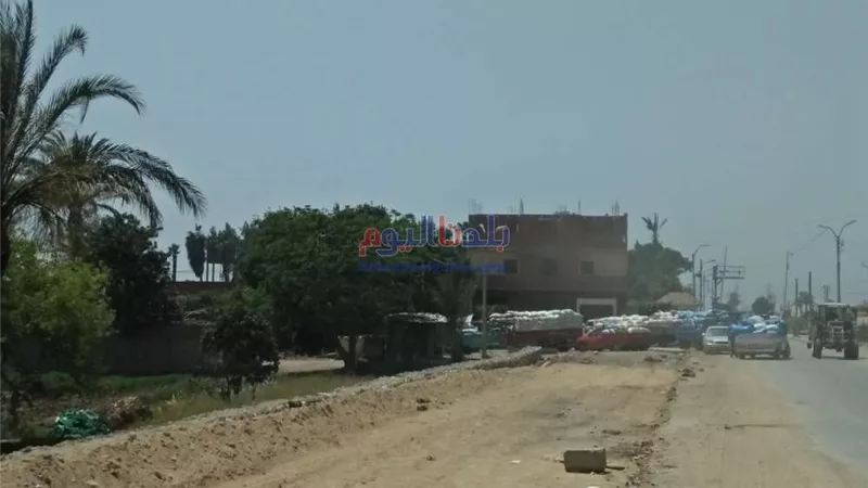 مطاحن بني سويف تستقبل سيارات نقل محملة بالقمح ضمن موسم التوريد.. 