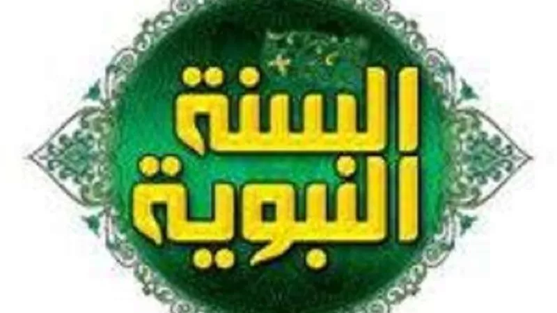 الشيخ فتحي الحلواني: تحديد أسباب نزول السنة النبوية يغلق باب الفتنة.. فيديو