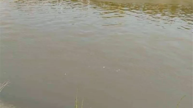 لأسباب غامضة.. مصرع شاب غرقا في نهر النيل بقنا