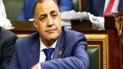 إلهامي عجينة يكشف تفاصيل اعتداءه على نائب مدير مستشفى شربين