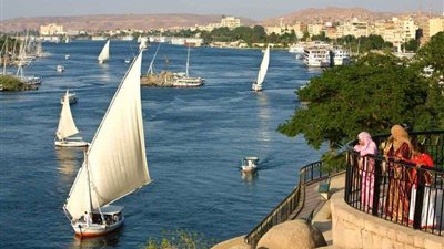 توجيه من رئيس النيابة الإدارية بشأن القضايا المتصلة بالبيئة