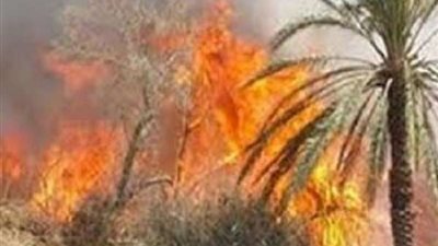 في يوم واحد.. السيطرة على 3 حرائق في الوادي الجديد