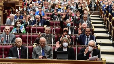 النائب حازم الجندي: الشيخ زايد أوصى أبنائه على مصر