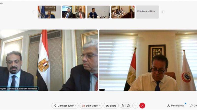 جانب من اجتماع الصحة