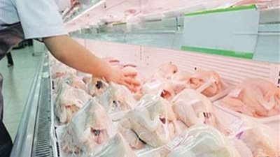 الحكومة تنفي تداول أعلاف دواجن فاسدة بالأسواق