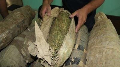 ضبط عاطل حول حديقة منزله لمزرعة مواد مخدرة بالفيوم