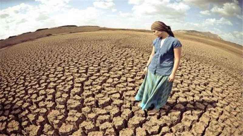 نقيب الزراعيين: الأسعار العالمية للأسمدة بدأت فى الانخفاض ولكن بشكل مؤقت  | فيديو