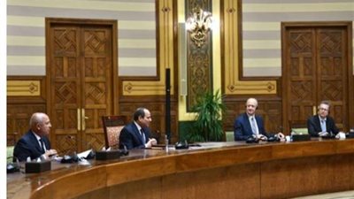 الرئيس السيسي يطلع على جهود تطوير البحيرات الطبيعية على مستوى الجمهورية