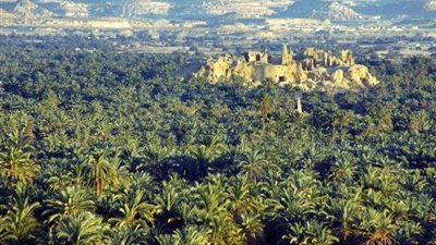 محافظ مطروح يعلن مشاركة تمور سيوة بمهرجان موريتانيا الدولي