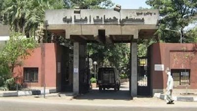 مدير حميات إمبابة يكشف أسباب حريق شب خارج المستشفى