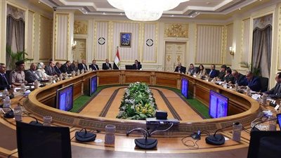 الحكومة: لابد من مراعاة الأخذ ببنود النموذج الاسترشادي لحماية الاستثمار