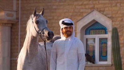 احمد عبدالله: مصر جديرة بتنظيم مسابقات الفروسية العالمية