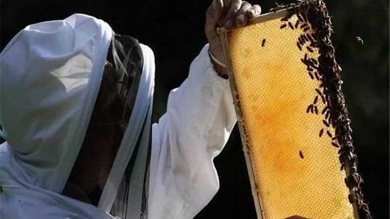 في اليوم العالمي للنحل.. شاهد كيف احتفلت الأميرة فيكتوريا وأبناؤها؟