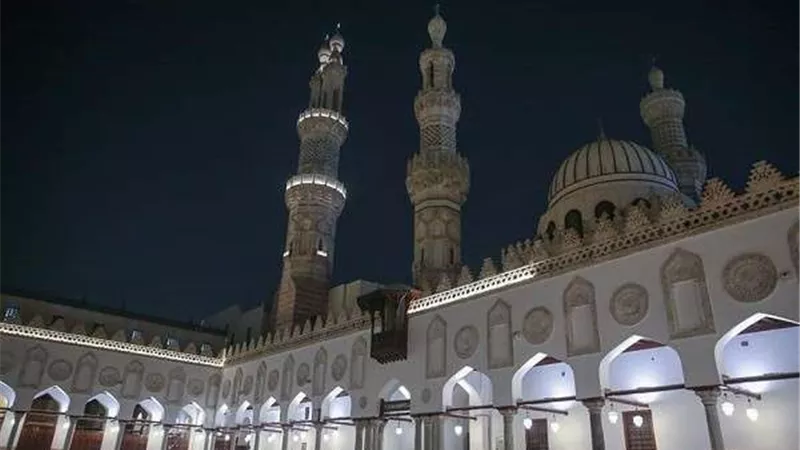 هل الأرض التجارية عليها زكاة؟.. البحوث الإسلامية تجيب
