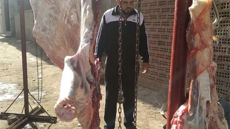 قبل العيد.. التحفظ على 3 طن لحوم مستوردة في مدينة نصر