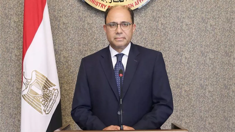 قراراً بتعيين السفير أحمد أبو زيد متحدثاً رسمياً باسم وزارة الخارجية