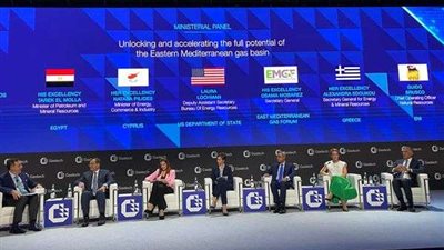 الملا: لدينا فرص لاستغلال إمكانات الغاز الكاملة في منطقة شرق المتوسط