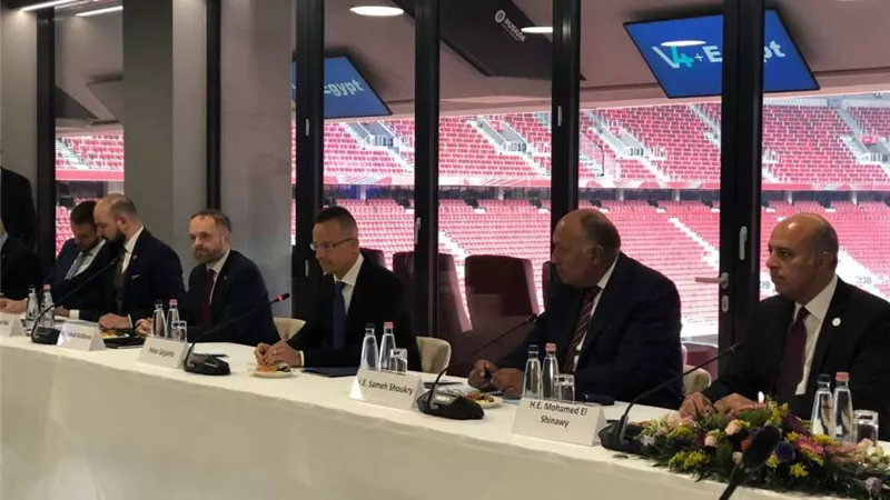 شكري يبحث مع وزيرة خارجية سلوفينيا جذب الاستثمارات