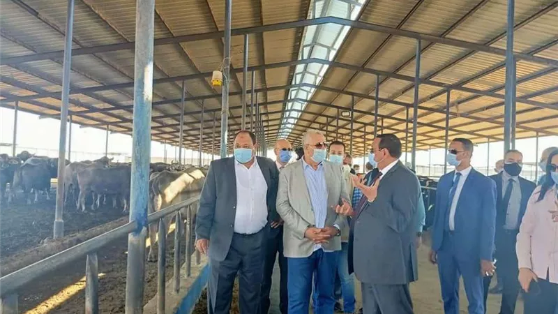 القصير: 