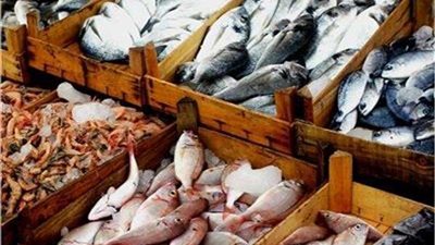 ننشر أسعار السمك والجمبري بسوق العبور اليوم