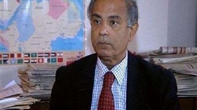 حسن هريدي: ما يحدث في أمريكا أزمة هوية والانتخابات المقبلة في غاية الشراسة