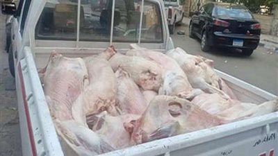 ضبط 40 طن لحوم ودواجن غير صالحة للاستهلاك الآدمي بالجيزة