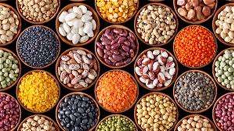 البقوليات