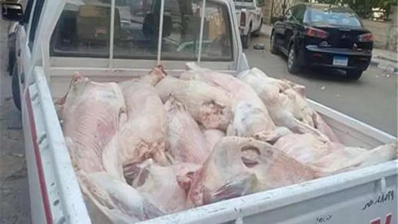 ضبط 40 طن لحوم ودواجن غير صالحة للاستهلاك الآدمي بالجيزة