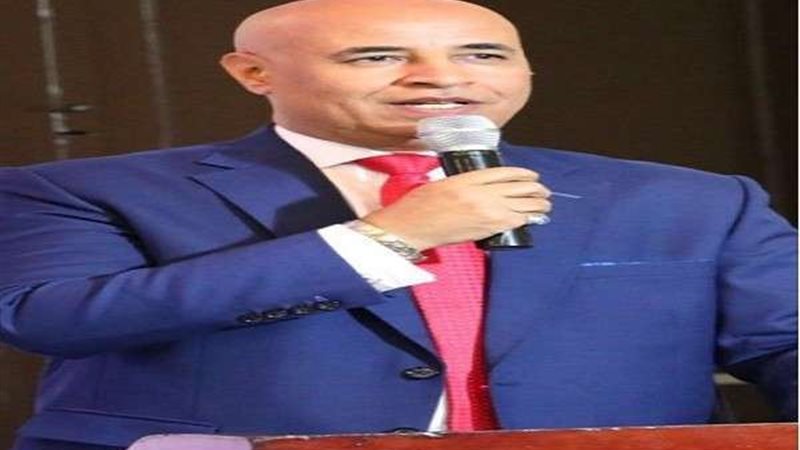 عادل حنفي، نائب رئيس