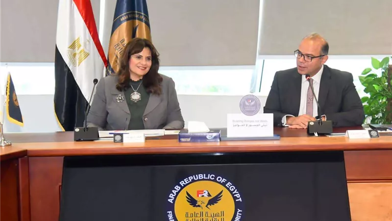 الهجرة والرقابة المالية يبحثان فرص زيادة استثمارات المصريين بالخارج
