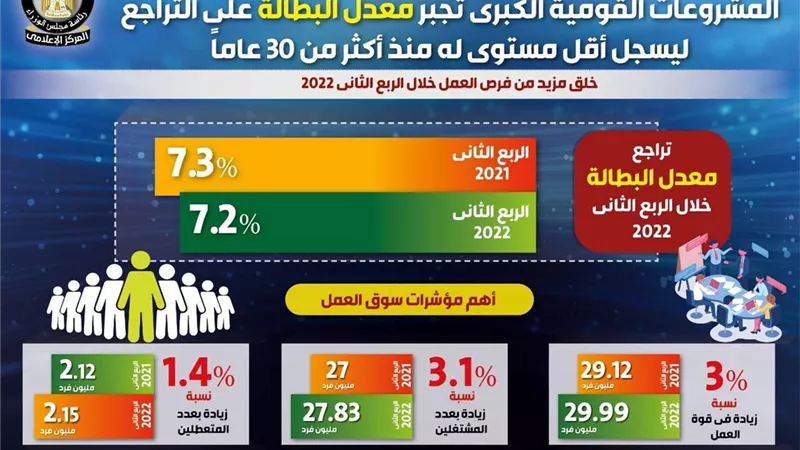 مجلس الوزراء يكشف عن تفاصيل هزيمة  المشروعات القومية للبطالة