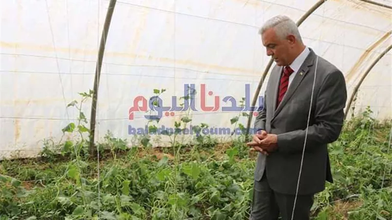 عميد زراعة عين شمس: مصر لم تعاني من أزمات في الخضروات منذ عام ونصف  (فيديو)