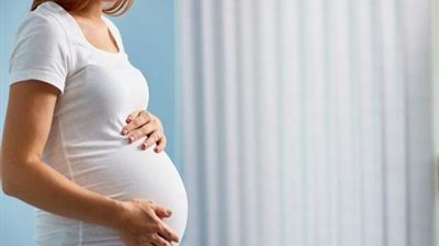 أبرزها المكسرات.. 9 أطعمة يجب عليك تناولها لزيادة فرصة الإنجاب