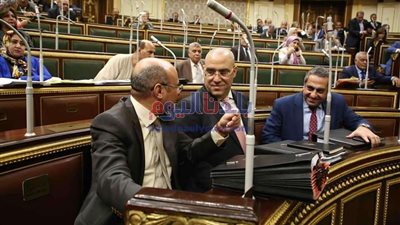 البرلمان يناقش قانون مجلس الشيوخ الأسبوع المقبل