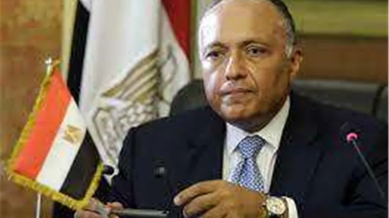 سامح شكري يلتقي بـ نظيرة الصيني لهذا الأمر