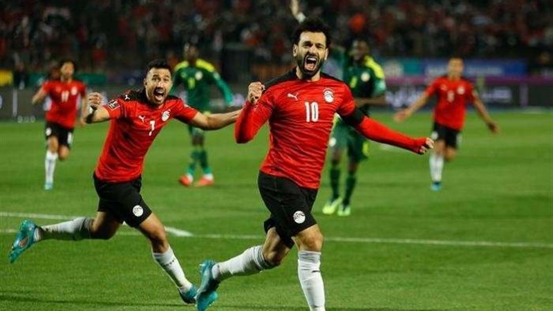 مصر وغينيا 