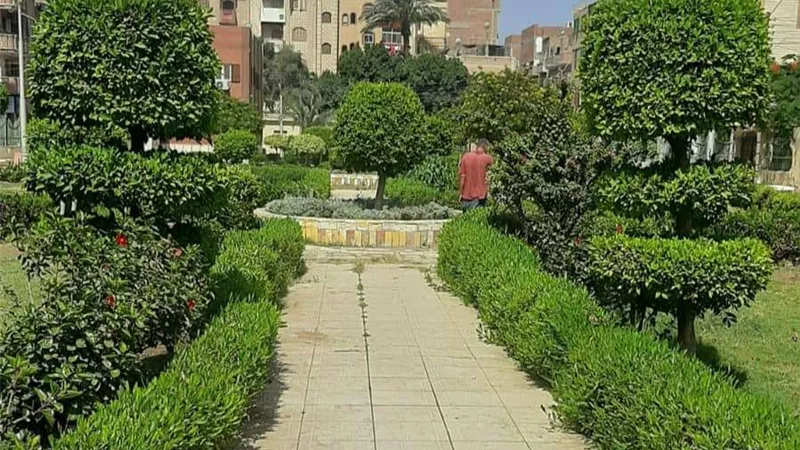 رفع مستوى النظافة والتجميل بشوارع بني سويف
