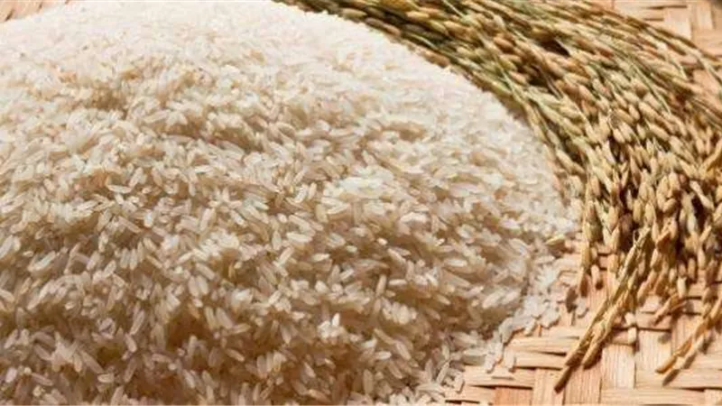أسعار الأرز اليوم الجمعة 29 سبتمبر في السواق المحلي