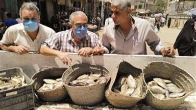 بالصور.. تحرير 10 محاضر صحة خلال حملة بمدينة جرجا