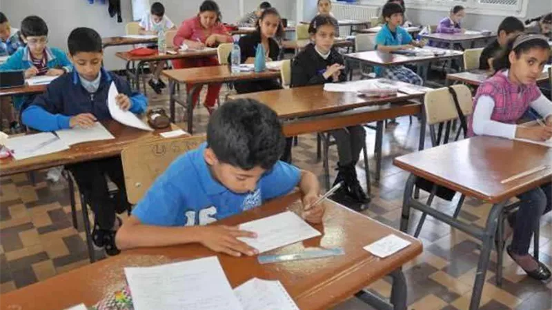 «تحسين درجات مادة واحدة أو كل المواد».. التفاصيل الكاملة حول نظام تحسين المجموع