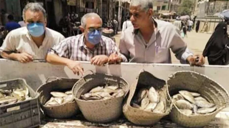 بالصور.. تحرير 10 محاضر صحة خلال حملة بمدينة جرجا