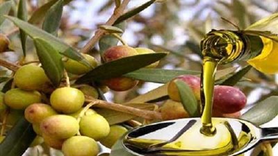 اكتشاف فوائد جديدة لزيت الزيتون.. تعرف عليها