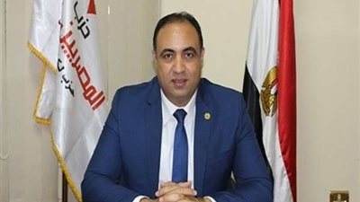 خالد عبد العزيز: مصر تدافع وتنتصر لحياة وكرامة المصريين