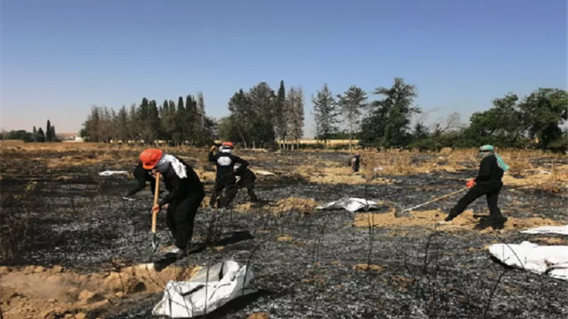 البرازيل تتجاوز حاجز المليون إصابة بكورونا بعد تسجيل رقم صادم في 24 ساعة