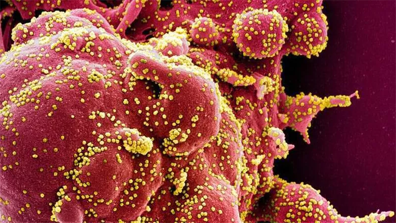 الهند.. 14500 إصابة جديدة في 24 ساعة